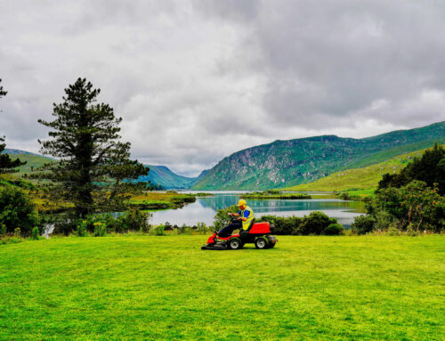 Mowing Your Lawn